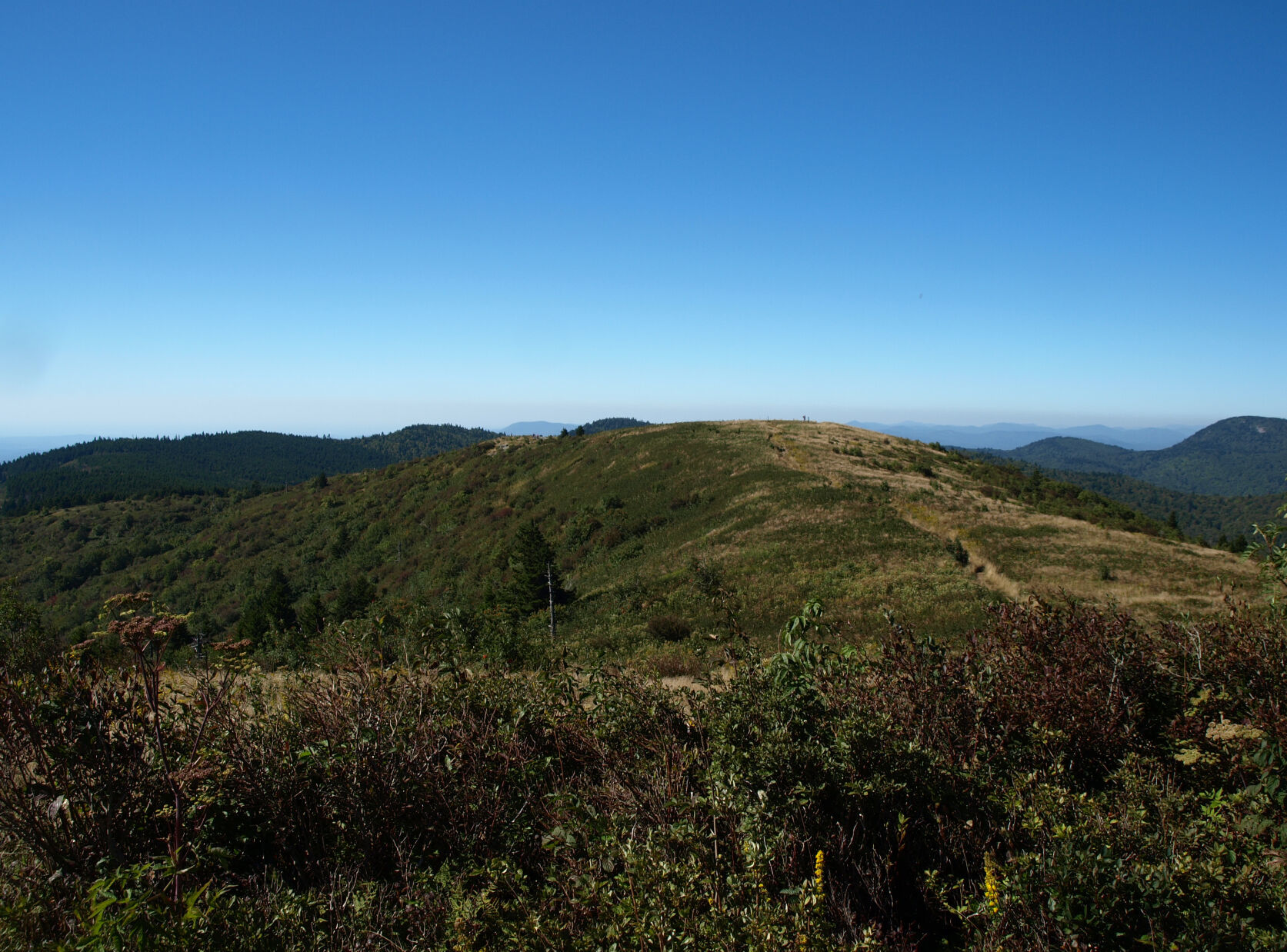 Art Loeb Trail
